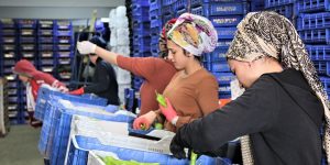 EKONOMİ SEBEP OLDU | Sebze üssünde fiyatlar uçtu