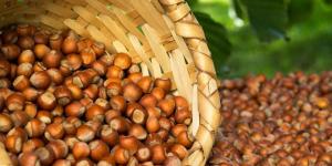 HER ŞEYE ZAM, ÜRETİCİYE HÜSRAN | Tefeciye dost halka yabancı: 54 TL