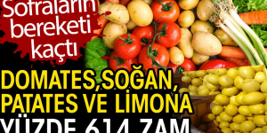 SOFRALARIN BEREKETİ KAÇTI! Domates, soğan, patates ve limona yüzde 614 zam!