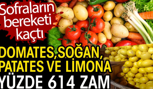 SOFRALARIN BEREKETİ KAÇTI! Domates, soğan, patates ve limona yüzde 614 zam!