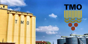 TMO FINDIK ALIM FİYATINI, ERDOĞAN’IN DUYURDUĞU SEVİYENİN ALTINDA AÇIKLADI