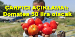 ÇARPICI AÇIKLAMA!: Domates 50 lira olacak