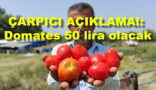 ÇARPICI AÇIKLAMA!: Domates 50 lira olacak