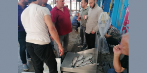 YASAK KALKTI TRABZONLU BALIKÇILAR KARADENİZ’E AÇILDI!  İşte ilk balık fiyatları