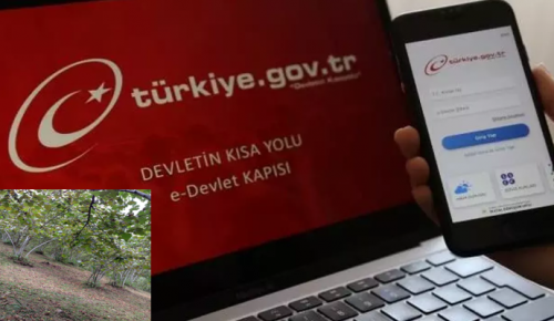 BAKAN KİRİŞÇİ YENİ DÖNEMİ AÇIKLADI! Artık ‘Çiftçi Kayıt Sistemi’ başvuruları E-Devlet’ten yapılacak
