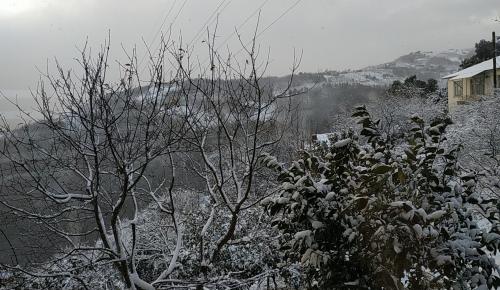 METEOROLOJİ’DEN UYARI! Trabzon kıyılarında kuvvetli yağmur,  yükseklerde yer yer kuvvetli ve yoğun kar