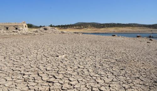 EN FAZLA YAĞIŞ ALAN İLLERDEN MUĞLA’DA TABLO VAHİM: Su kaynakları giderek azalıyor