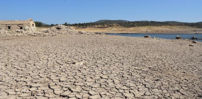 EN FAZLA YAĞIŞ ALAN İLLERDEN MUĞLA’DA TABLO VAHİM: Su kaynakları giderek azalıyor
