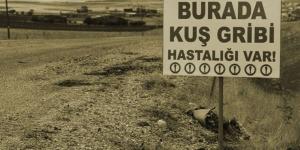 AFYONKARAHİSAR VE DENİZLİ’DE KUŞ GRİBİ ALARMI      