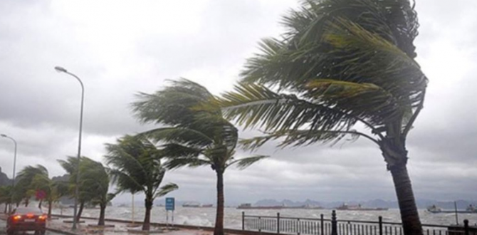 TRABZON VALİLİĞİNDEN UYARI: Kuvvetli rüzgâr ve fırtına bekleniyor
