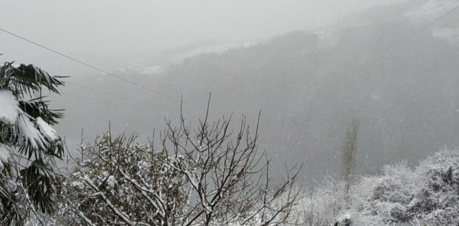 AFAD’DAN TRABZON İÇİN BİR UYARI DAHA! Bu akşam ve yarına dikkat