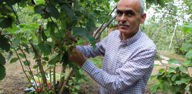 ÇALIŞAN EMEKLİLERE DE 5.000 TL YATIRILACAK!