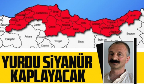 YURDU SİYANÜR KAPLAYACAK! | Karadeniz Kıyılarında Yeni Altın İşletmeleri Planlanıyor