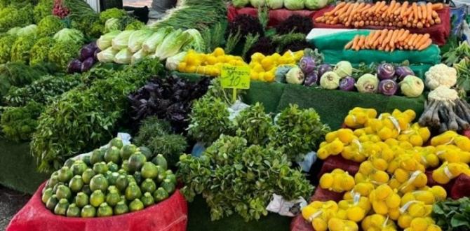 İSTANBUL’DA EYLÜL AYININ ZAM ŞAMPİYONU BELLİ OLDU
