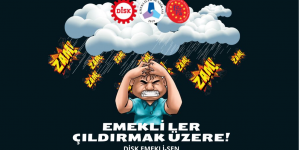DİSK EMEKLİ-SEN | Emekliler yılı ilan edilen 2024 yılında, emekliler haftasına açlık ve sefalet içinde giriyoruz!