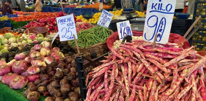 ASGARİ ÜCRET ÖNCESİ KRİTİK VERİ: Açlık ve yoksulluk sınırı rakamları açıklandı