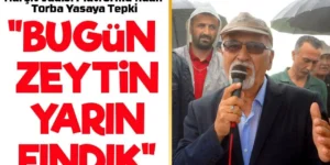 “BUGÜN ZEYTİN, YARIN FINDIK”: Harşit Vadisi Platformu’ndan Torba Yasaya Tepki