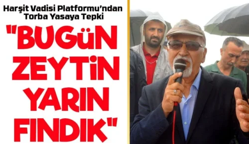 “BUGÜN ZEYTİN, YARIN FINDIK”: Harşit Vadisi Platformu’ndan Torba Yasaya Tepki