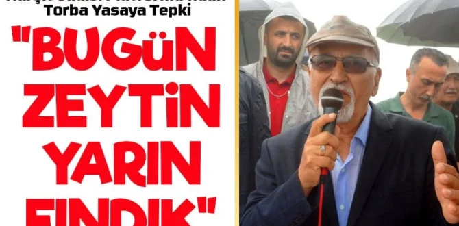 “BUGÜN ZEYTİN, YARIN FINDIK”: Harşit Vadisi Platformu’ndan Torba Yasaya Tepki