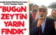 “BUGÜN ZEYTİN, YARIN FINDIK”: Harşit Vadisi Platformu’ndan Torba Yasaya Tepki