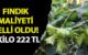 1 KİLO FINDIĞİN ÜRETİCİYE MALİYETİ 222 TL OLDU! Taban fiyatın 310 TL olması bekleniyor