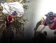 PANDEMİNİN DOKTORU KARADENİZLİLERİ UYARDI: Sinsi tehlikeyi açıkladı