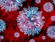 PANDEMİDEN BERİ EN BULAŞICI SALGINA HAZIR MISINIZ?