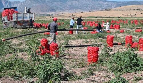 MAKAS FENA AÇILDI: Üreticide 5, markette 25 lira!