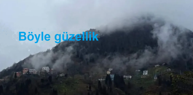 YOMRA ÖZDİL MAHALLESİ’NDE TAŞ OCAĞI TEPKİSİ BÜYÜYOR!