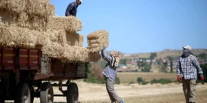 BÜYÜME YÜKÜ EMEKTE, NEMASI SERMAYEDE | Sermaye şiştikçe, emek küçülüyor