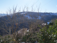 YILIN İLK KAR YAĞIŞI MAHALLEMİZE ELEKTRİK KESİNTİSİYLE MERHABA DEDİ