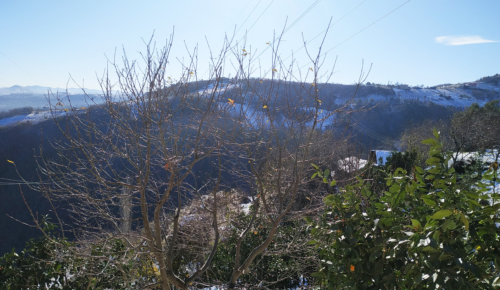 YILIN İLK KAR YAĞIŞI MAHALLEMİZE ELEKTRİK KESİNTİSİYLE MERHABA DEDİ