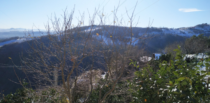 YILIN İLK KAR YAĞIŞI MAHALLEMİZE ELEKTRİK KESİNTİSİYLE MERHABA DEDİ