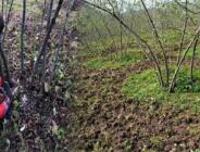 2026 YILI ALAN BAZLI FINDIK DESTEK ÖDEMELERİ İÇİN BAŞVURU SÜRESİ SONA ERİYOR! Son gün 31 ARALIK 2026