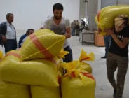 FINDIK’TA YENİ KRİZ: ‘TMO piyasayı düzenlemek yerine alınan karar üreticiye darbe olacaktır’