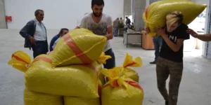 FINDIK’TA YENİ KRİZ: ‘TMO piyasayı düzenlemek yerine alınan karar üreticiye darbe olacaktır’