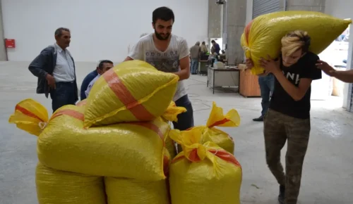 FINDIK’TA YENİ KRİZ: ‘TMO piyasayı düzenlemek yerine alınan karar üreticiye darbe olacaktır’