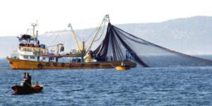 BALIKÇILIKTA GENEL AV SEZONU KAPANDI! Uzatma ağlarıyla avcılık yıl boyu yapılabilecek