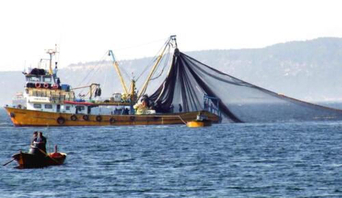 BALIKÇILIKTA GENEL AV SEZONU KAPANDI! Uzatma ağlarıyla avcılık yıl boyu yapılabilecek